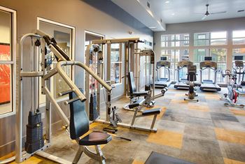 Gym fitness equipment